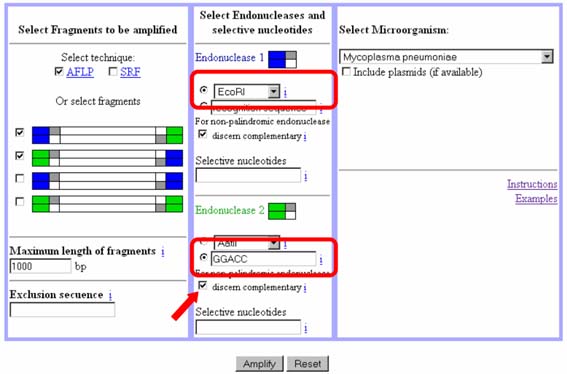 Image for example 1