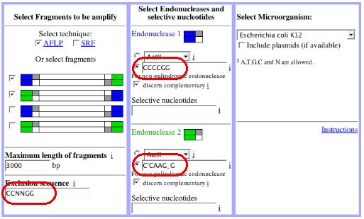 example3-form