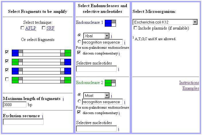 Example 4